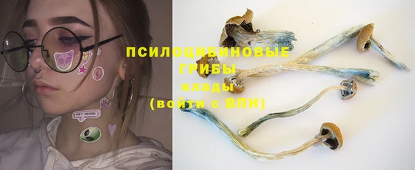 метадон Алексин