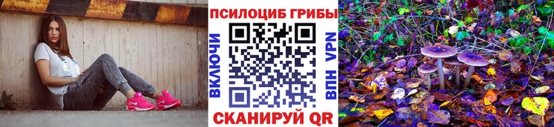 Галлюциногенные грибы прущие грибы  Волгодонск 