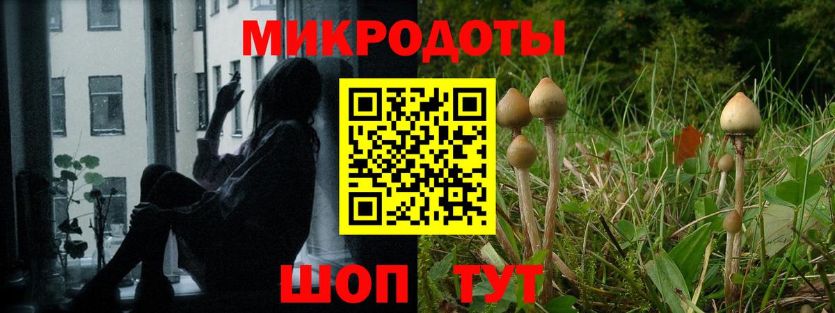 Псилоцибиновые грибы ЛСД  где найти   Волгодонск  Вход с VPN 