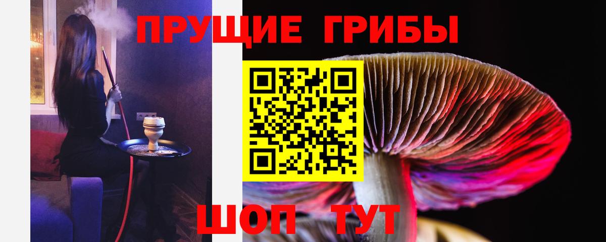 Псилоцибиновые грибы Psilocybe Волгодонск